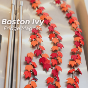 Boston Ivy – Seasonal Magnetivy Accent