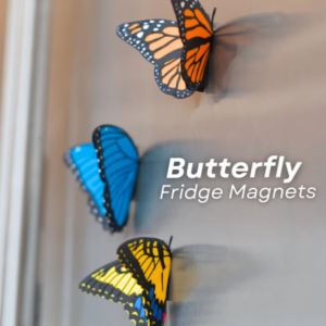 Butterfly Magnet Collection — Nature-Inspired Decorative Accents