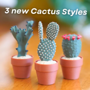 Clicky Cacti Pack (3 Varieties)