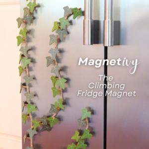 Magnetivy – English Ivy Fridge Magnets